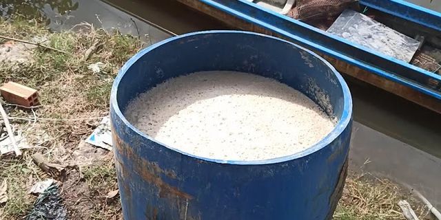 Cách ủ vi sinh cám gạo