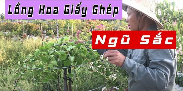 Cách uốn tán hoa giấy