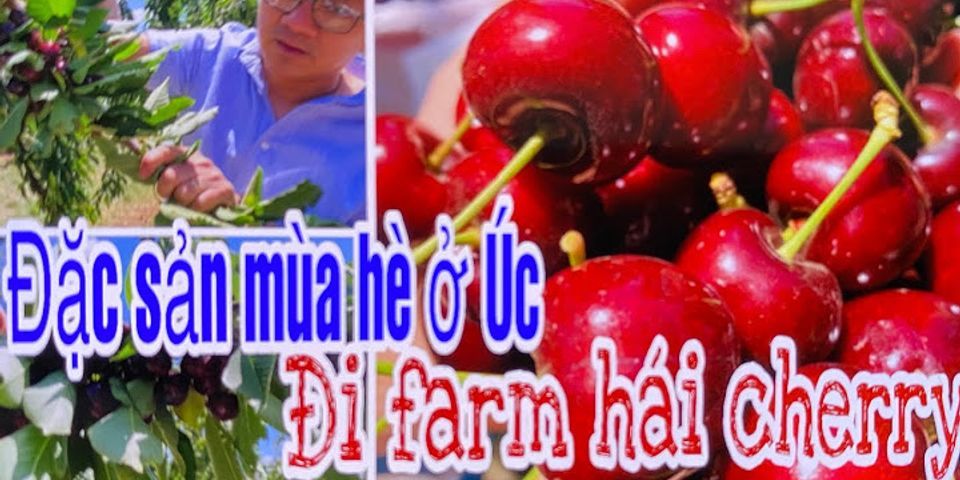 Cherry Úc mua ở đâu