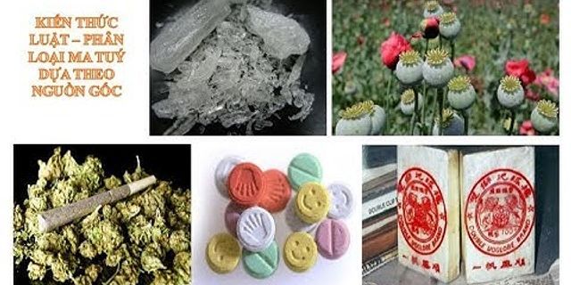 Có bao nhiêu cách phân loại chất ma túy