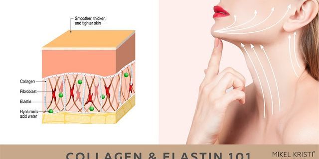 Collagen và elastin là gì