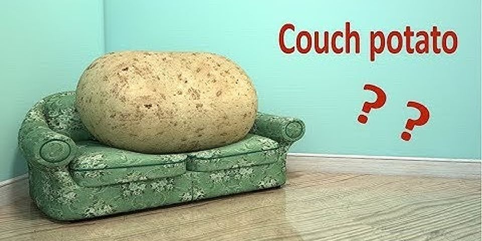 Couch nghĩa là gì