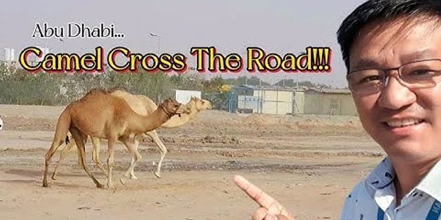 Cross the road nghĩa là gì