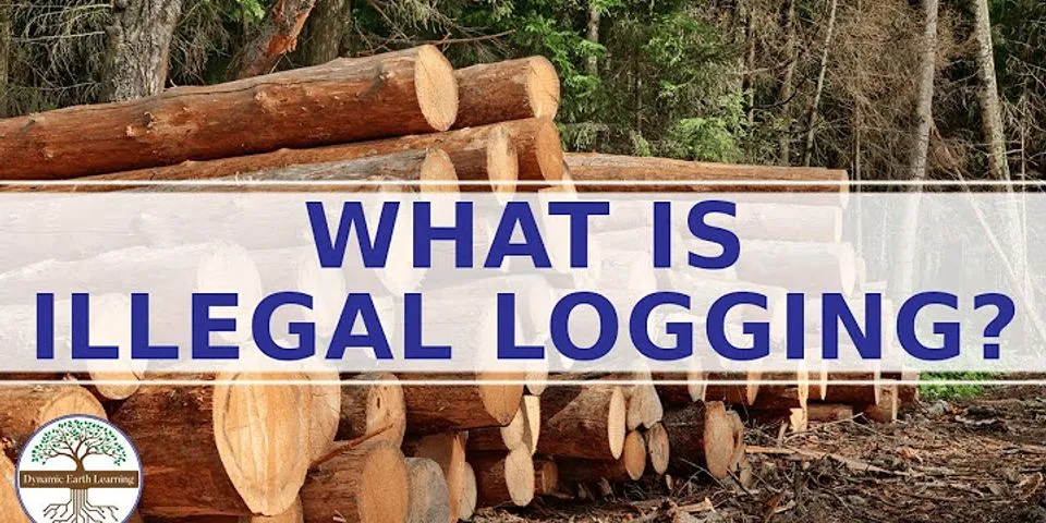 Dampak negatif illegal logging yang mengganggu keanekaragaman hayati adalah