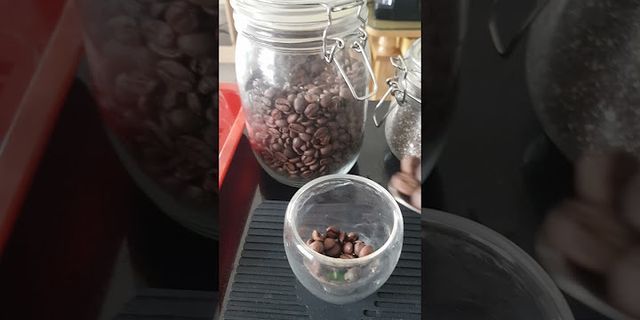 Đánh giá máy pha cà phê Zamboo