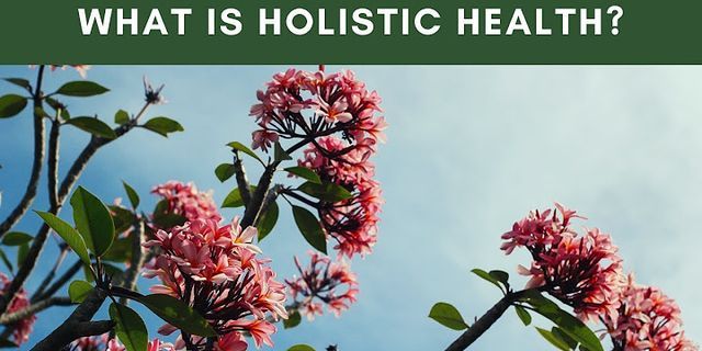 Define holistic health