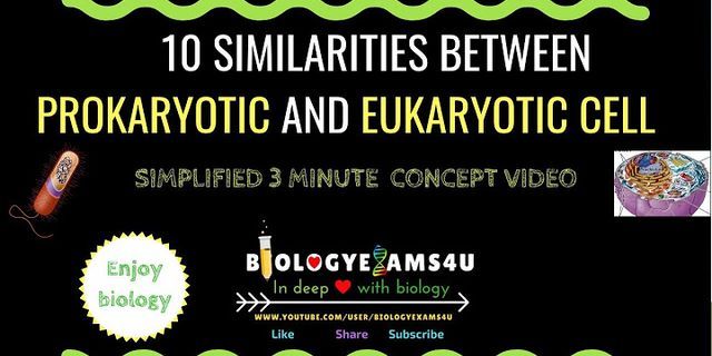Điểm giống nhau giữa prokaryote và eukaryote