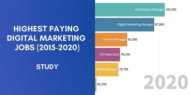 Digital Marketing Specialist salary entry level