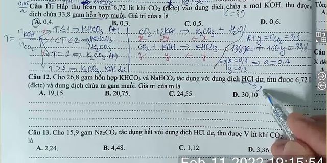 Dung dịch X có chứa 0 2 mol Ca2+ 0 6 mol Mg2+ 0 8 mol Cl và y mol HCO3
