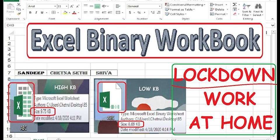 Excel Binary Worksheet là gì