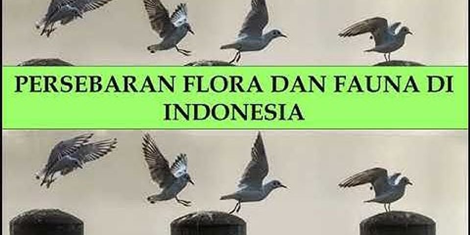 Fauna yang terdapat di wilayah antara Indonesia bagian timur dan Indonesia bagian barat disebut
