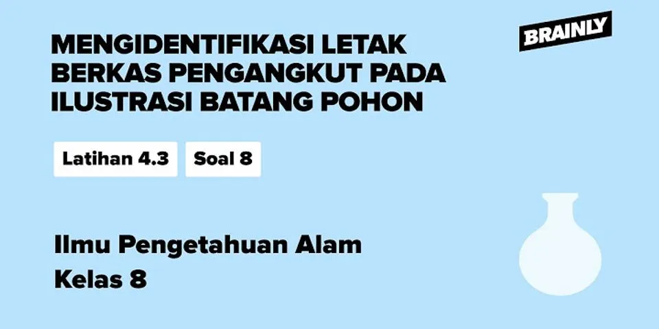 Fungsi bagian X pada gambar penampang akar disamping adalah