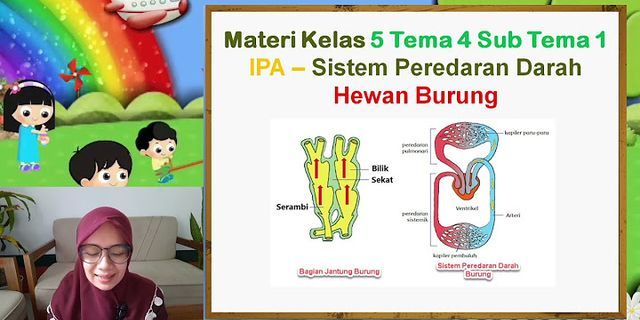 Gambar Organ Peredaran Darah Pada Burung Dan Fungsinya