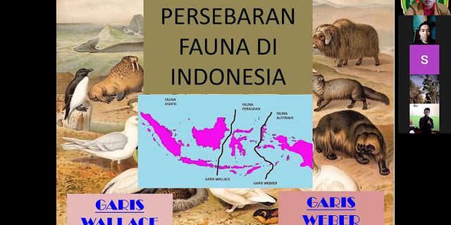 Garis Wallace adalah garis khayal yang membatasi fauna antara wilayah Indonesia Bagian Tengah dan Indonesia Bagian timur apakah benar?