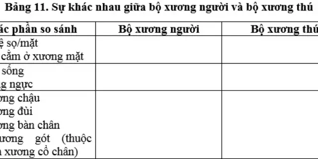 Top 10 giải vở bài tập sinh học lớp 8 bài 11 2022