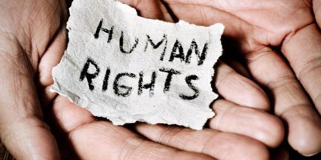 Top 10 identifikasikan undang-undang organik yang menjamin hak dan kewajiban asasi manusia 2022