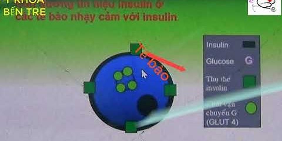 Insulin lispro protamine là gì