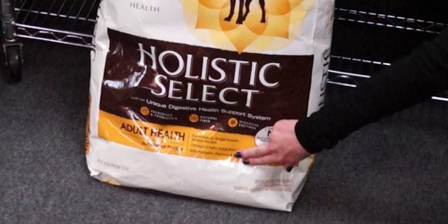 Is Holistic Select grain free?