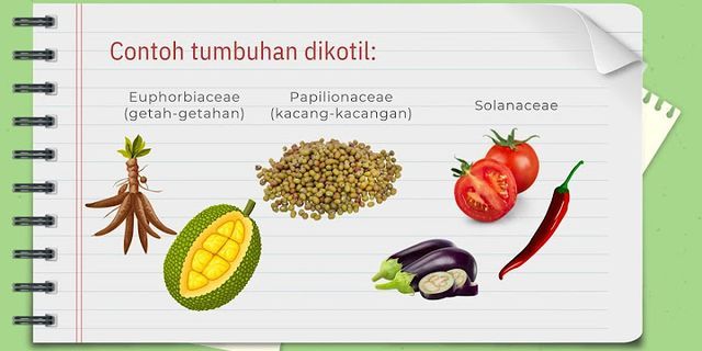 Jelaskan dua jenis tumbuhan angiospermae yang merupakan khas indonesia
