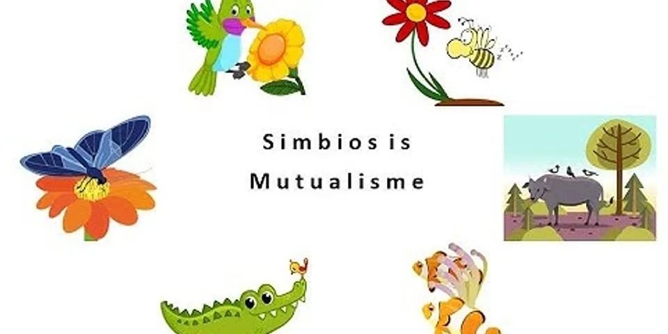 Jelaskan jenis interaksi simbiosis mutualisme dan sebutkan contohnya