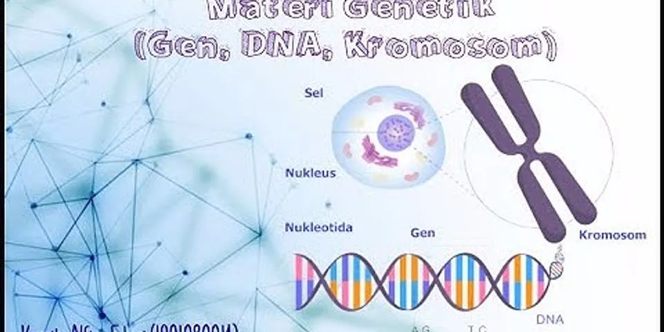 Jelaskan keterkaitan antara kromosom DNA dan inti sel