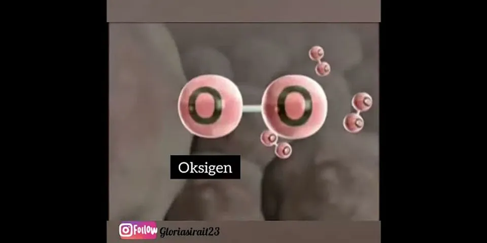 Jelaskan mekanisme pertukaran co2 dan oksigen di alveolus
