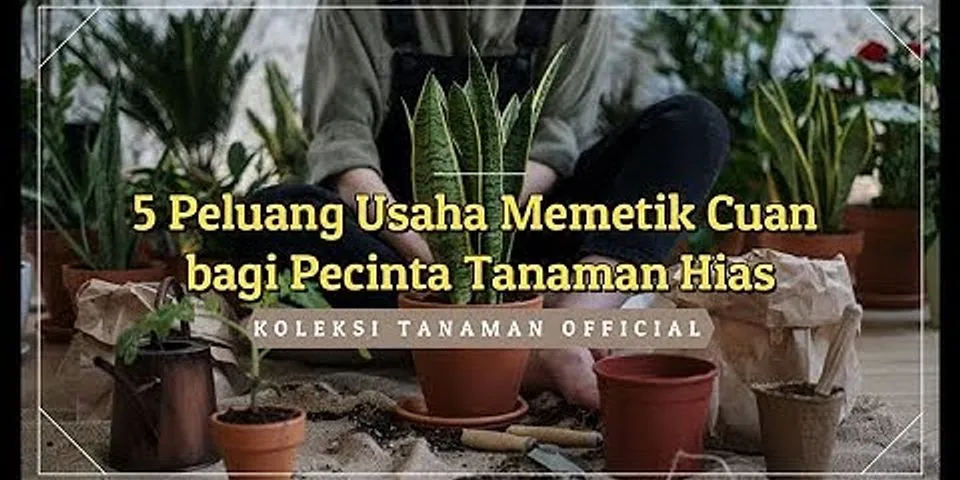 Jelaskan peluang usaha yang ada di sekitar lingkungan anda