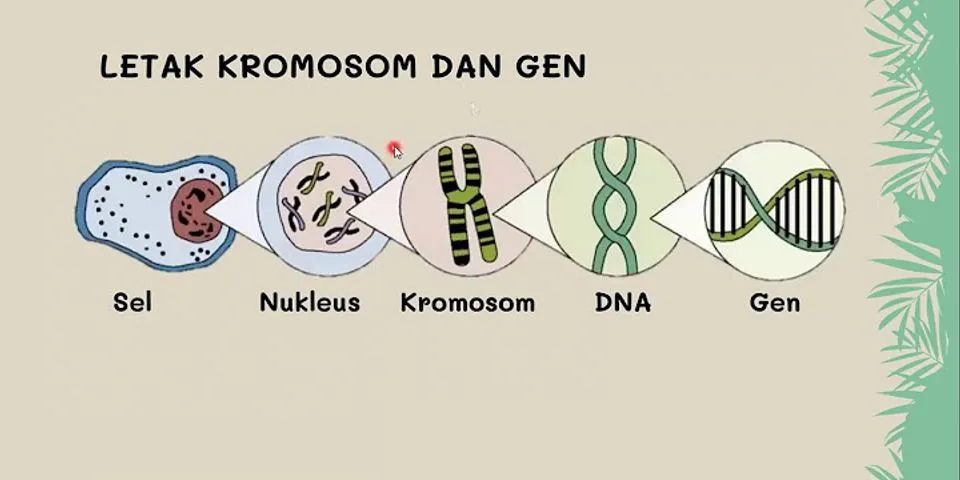 Jelaskan pengertian kromosom homolog, organisme Haploid, diploid dan poliploid