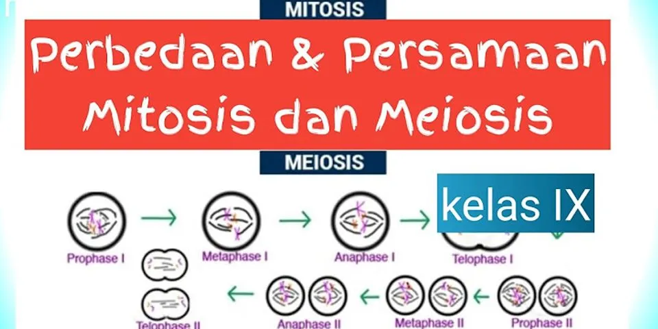 Jelaskan perbedaan meiosis dan mitosis