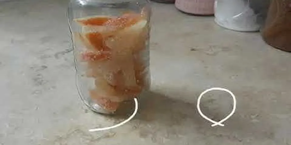Jelaskan proses pengolahan pangan hasil samping buah kulit jeruk