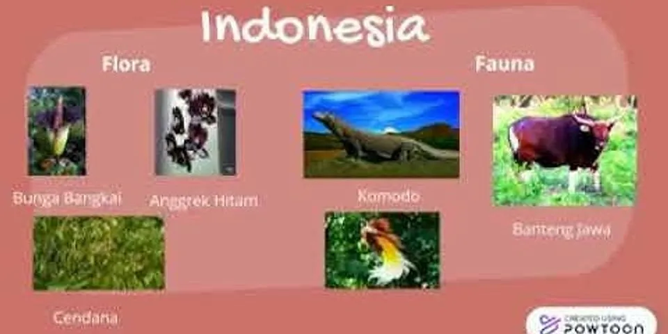 Jenis fauna endemik Indonesia yang ditunjukkan oleh tanda X dan Y adalah