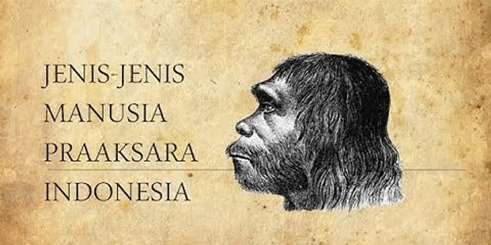 Jenis manusia purba di indonesia yang disebut sebagai manusia kera ialah