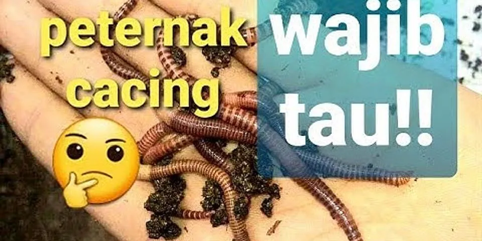 Jumlah jenis cacing tanah yang ada di dunia adalah