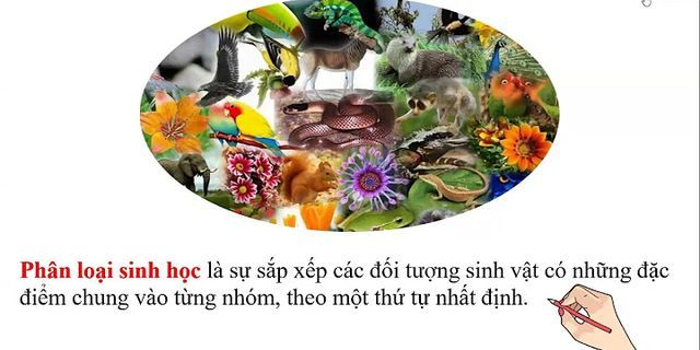 Kiểu dinh dưỡng của giới nấm là gì