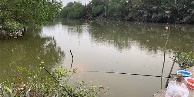 Kinh nghiệm câu cá sông Sài Gòn