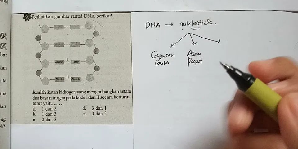 Kode genetik yang terdapat pada DNA terdiri dari pasangan basa nitrogen