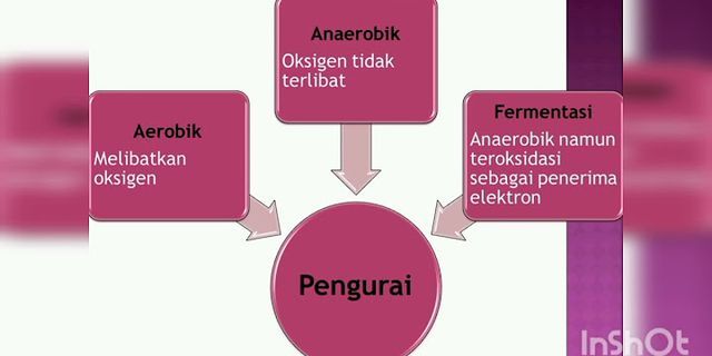 Komponen Biotik Yang Ada Pada Lingkungan Hidup Terdiri Dari - Homecare24