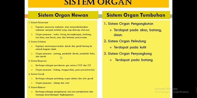 membedakan antara jaringan organ dan sistem organ