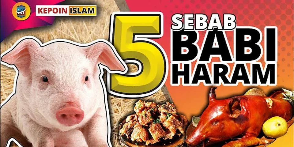 Mengapa babi diharamkan dalam islam jelaskan menurut pendapatmu
