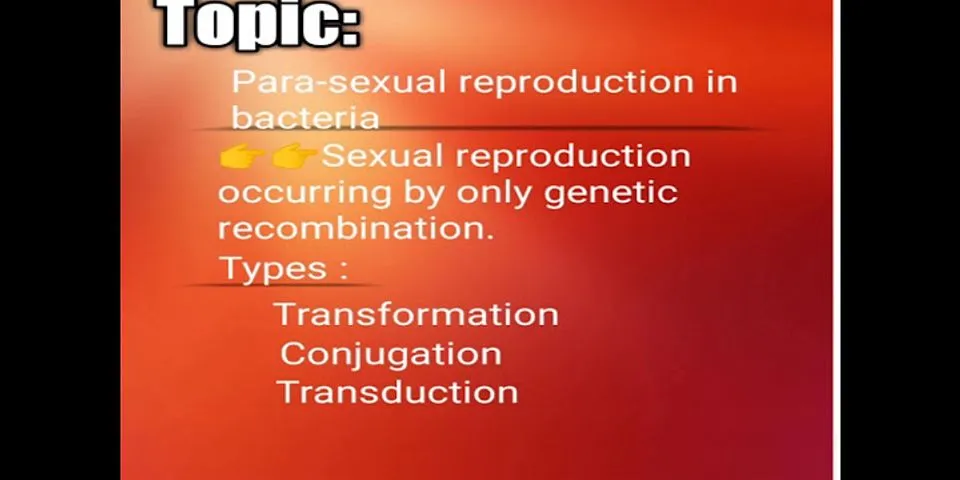 Mengapa cara reproduksi bakteri disebut paraseksual