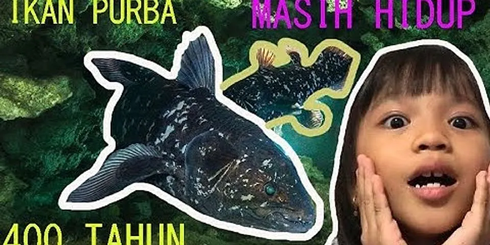 Mengapa ikan latimeria menadoensis sering disebut fosil hidup