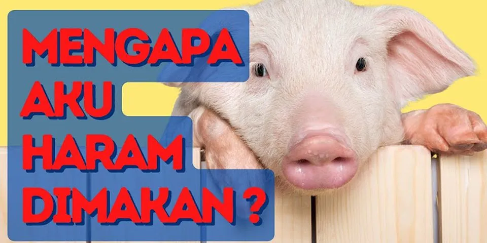Mengapa islam mengharamkan daging babi jelaskan brainly