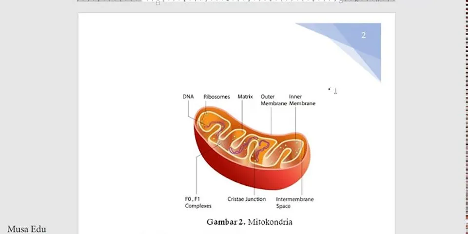 Mengapa mitokondria disebut sebagai penghasil energi