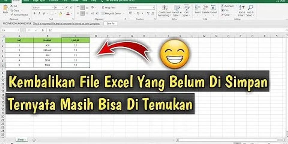Mengembalikan file Excel 2003 yang belum di save