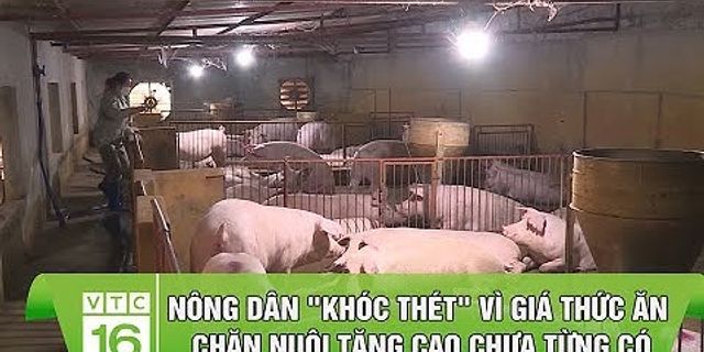 Mục đích chủ yếu của việc xây dựng các khu công nghiệp tập trung ở các nước đang phát triển là