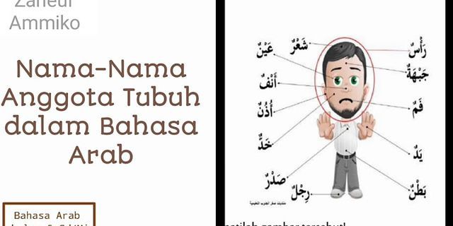nama anggota tubuh dalam bahasa arab beserta artinya