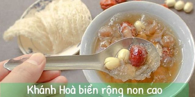 Top 9 những câu nói hay về yến sào 2022