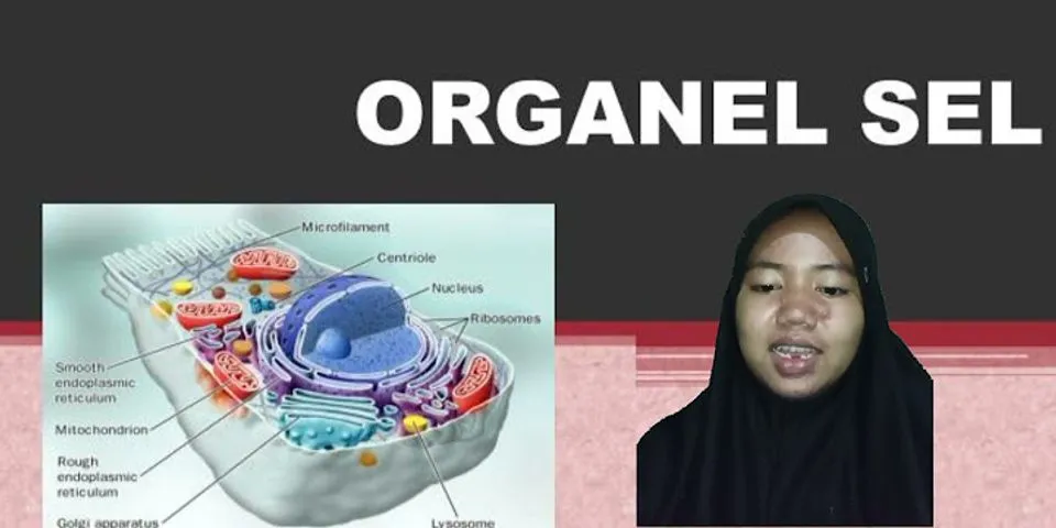 Organel dengan membran ganda yang hanya ditemukan pada sel hewan adalah