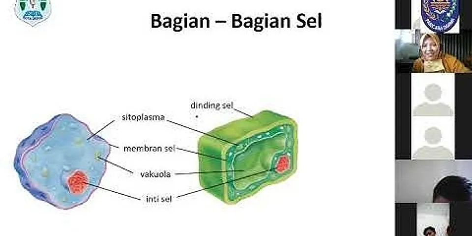 Organel sel yang berfungsi membentuk bagian yang ditunjuk tanda panah adalah