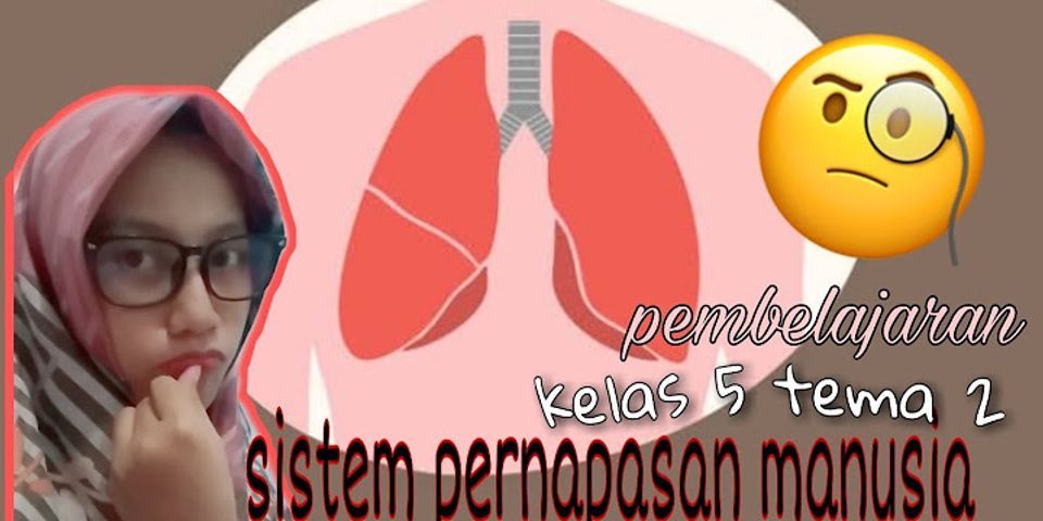 Pada pertukaran gas di paru-paru, udara yang masuk untuk menyegarkan udara alveolus sebanyak mL